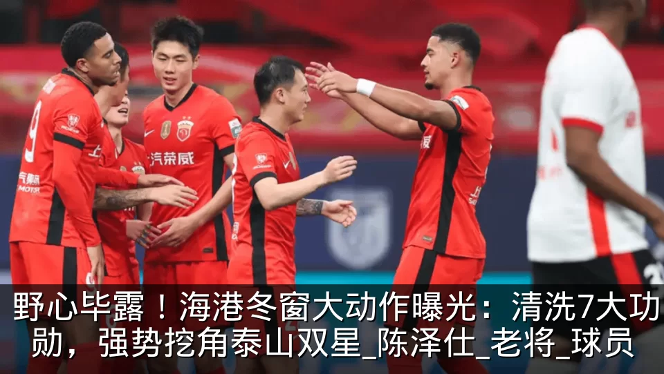 野心毕露！海港冬窗大动作曝光：清洗7大功勋，强势挖角泰山双星_陈泽仕_老将_球员