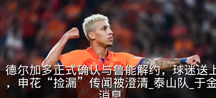 德尔加多正式确认与鲁能解约，球迷送上祝福，申花“捡漏”传闻被澄清_泰山队_于金永_消息